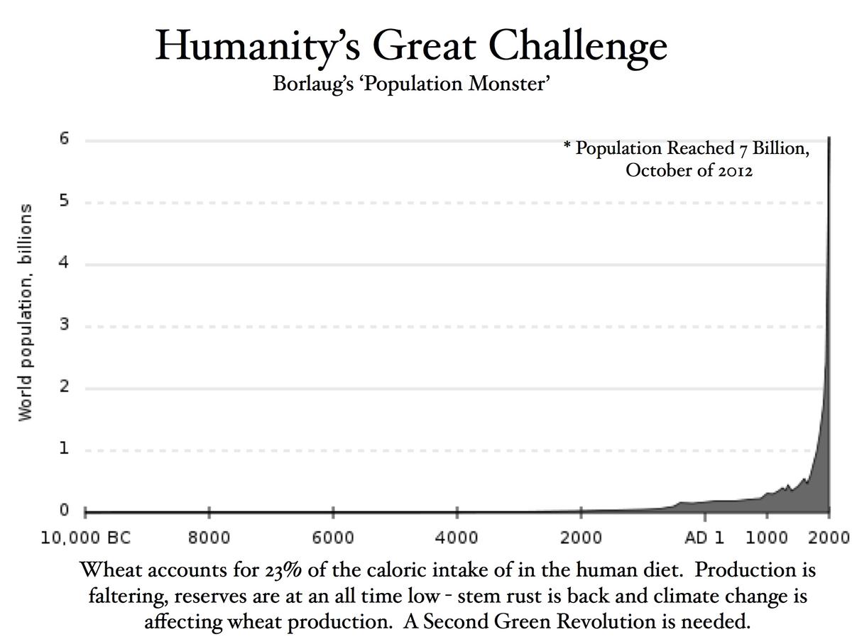 Humanity's Great Challenge - Borlaug's Population Monster