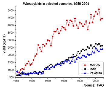 Graph showing wheat yields