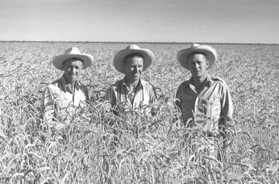 Borlaug and Harrar