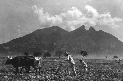 Mexican Agriculture