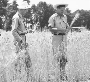 Rupert and Borlaug