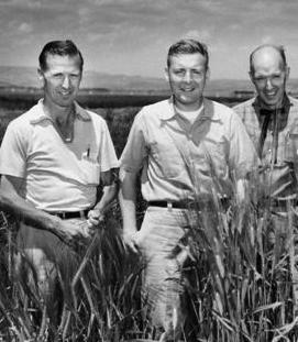 Norman Borlaug, Dr. Eugene Hayden and Donald Fletcher